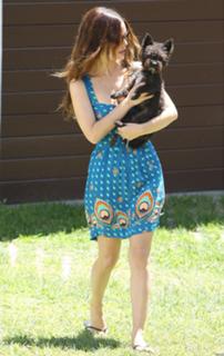 Rachel Bilson feet photo thumbnail