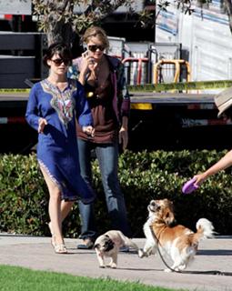 Rachel Bilson feet photo thumbnail