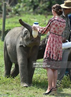 Catherine Princess of Wales feet photo thumbnail