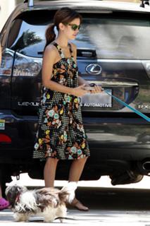 Rachel Bilson feet photo thumbnail