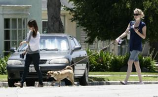 Rachel Bilson feet photo thumbnail