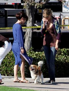 Rachel Bilson feet photo thumbnail