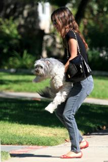 Rachel Bilson feet photo thumbnail