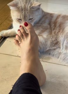 Salma Hayek feet photo 2