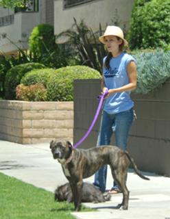 Rachel Bilson feet photo thumbnail