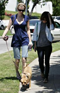 Rachel Bilson feet photo thumbnail