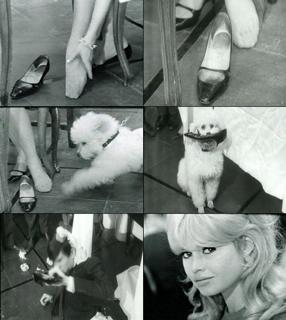 Brigitte Bardot feet photo thumbnail