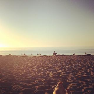 Cat Deeley feet photo thumbnail