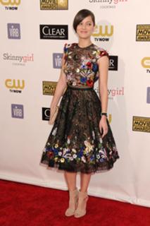 Marion Cotillard feet photo thumbnail