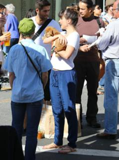 Sophia Bush feet photo thumbnail