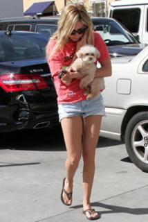 Ashley Tisdale feet photo thumbnail