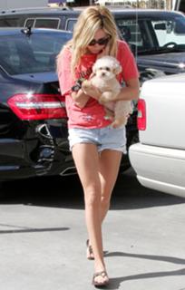 Ashley Tisdale feet photo thumbnail