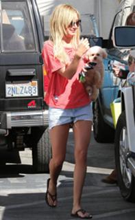Ashley Tisdale feet photo thumbnail