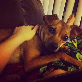 Saraya-Jade Bevis feet photo 5