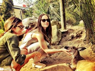Minka Kelly feet photo thumbnail