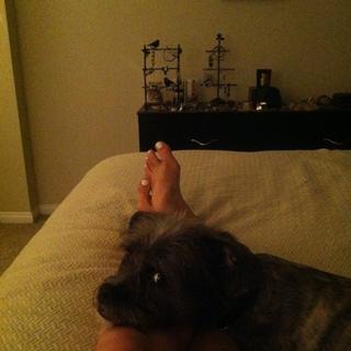 JoJo feet photo thumbnail