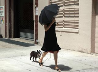 Famke Janssen feet photo thumbnail