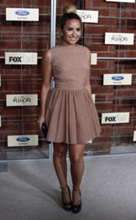 Demi Lovato feet photo thumbnail