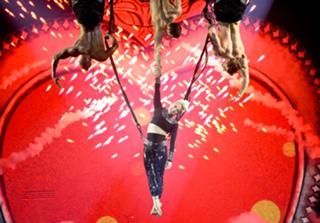 Pink feet photo thumbnail