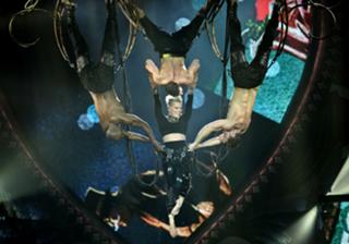 Pink feet photo thumbnail