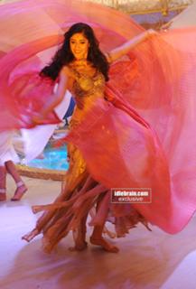 Ileana D'Cruz feet photo thumbnail
