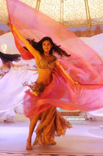 Ileana D'Cruz feet photo thumbnail