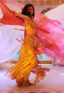 Ileana D'Cruz feet photo thumbnail