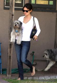 Rachel Bilson feet photo thumbnail