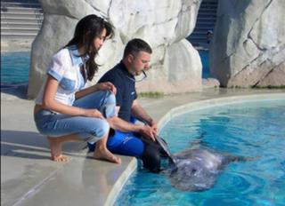 Caterina Balivo feet photo thumbnail