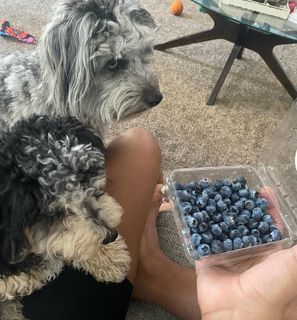 A'ja Wilson feet photo thumbnail