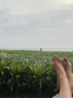 Aakanksha Singh feet photo 2