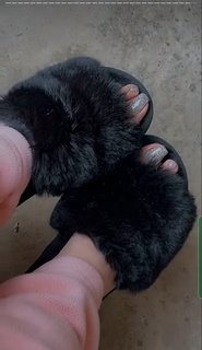 Aamreen Sharma feet photo 1