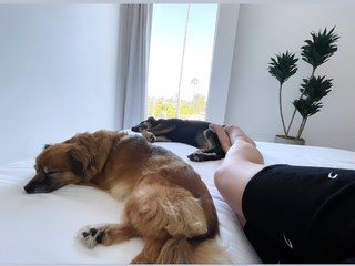 Abbie Cornish feet photo thumbnail