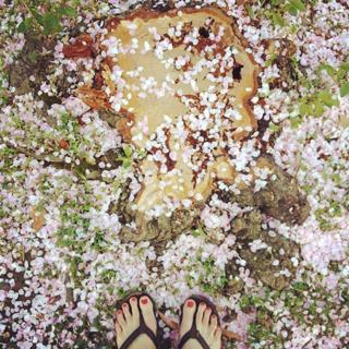 Abby Martin feet photo 1