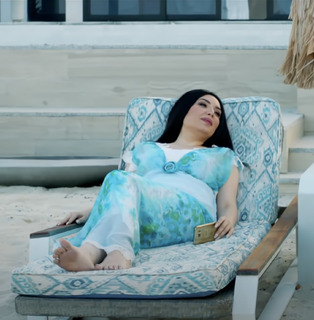 Abeer Sabry feet photo thumbnail