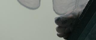 Abigail Breslin feet photo thumbnail
