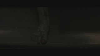 Abigail Breslin feet photo thumbnail