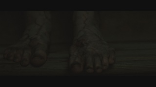 Abigail Breslin feet photo thumbnail