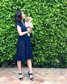 Abigail Spencer feet photo thumbnail