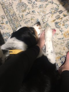 Acacia Brinley feet photo 17