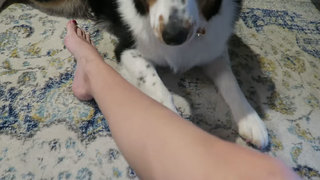 Acacia Brinley feet photo 6