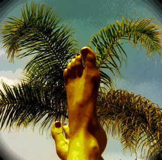 Ada Fijal feet photo 14