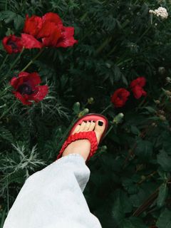 Ada Fijal feet photo 3