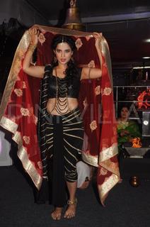 Adaa Khan feet photo 7