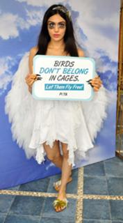 Adah Sharma feet photo thumbnail