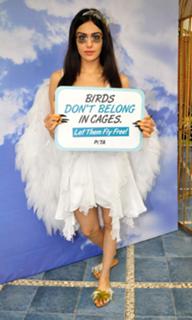 Adah Sharma feet photo thumbnail