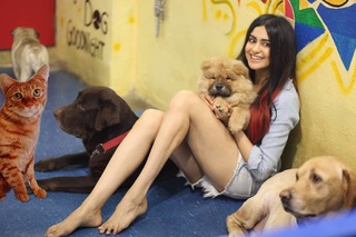 Adah Sharma feet photo thumbnail