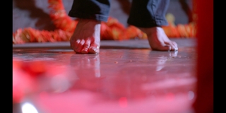 Additi Gupta feet photo 8