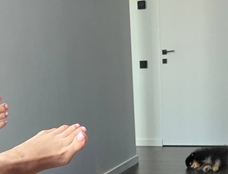 Adel Veigel feet photo 1