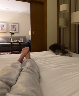 Adel Veigel feet photo 5